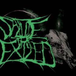 Devolution of Humanity